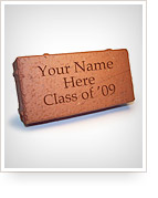 brick_campaign