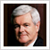 Gingrich thumb
