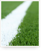 turf