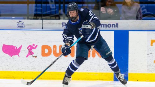 Rivier Raiders men's ice hockey